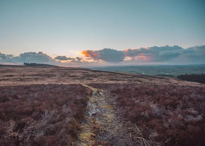 Eden At Broughton Sanctuary