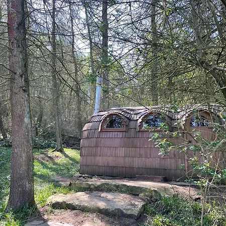 Eden At Broughton Sanctuary